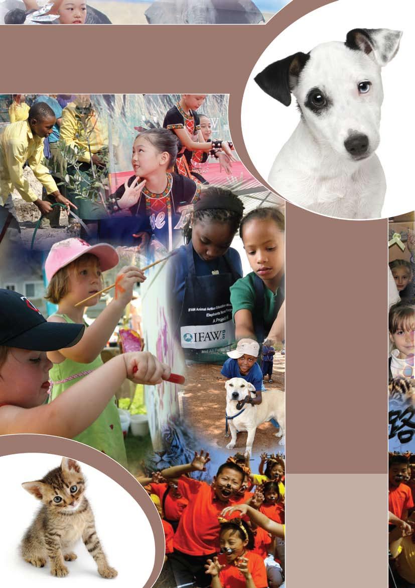 Animal Action Education Take Action for Cats and Dogs Thank you for joining us in celebrating, respecting