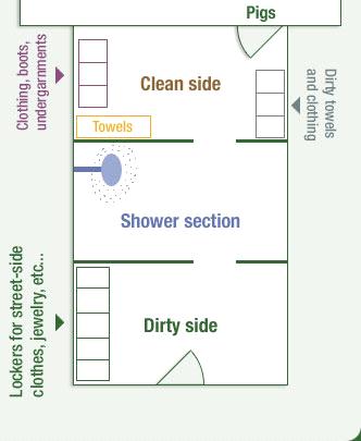 14 Figure 3. General shower room layout (Reprinted with permission from Lummus JL. Pork Production Series DVD #08196, Biosecurity in Pork Production by J. Carr. 2008 National Pork Board.