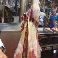 of carcass trimming: average trim of 3 kg per arthritis-affected carcass 5 costing producers $17.