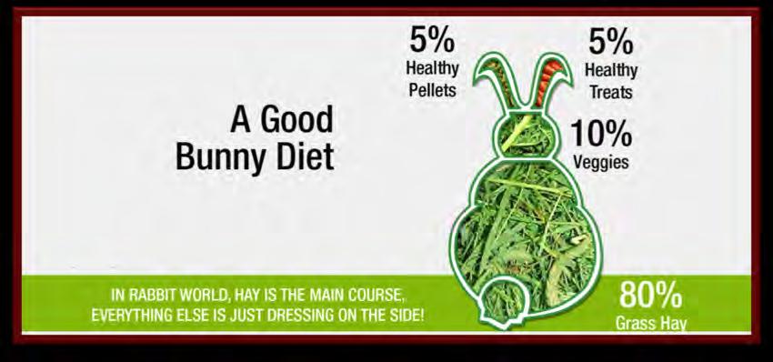 Feeding Yur Rabbit Yur rabbits diet shuld be 80% hay, 10% greens, 5% healthy pellets & 5% healthy treats. HAY Grass hay is abslutely vital t the digestive health f yur rabbit.