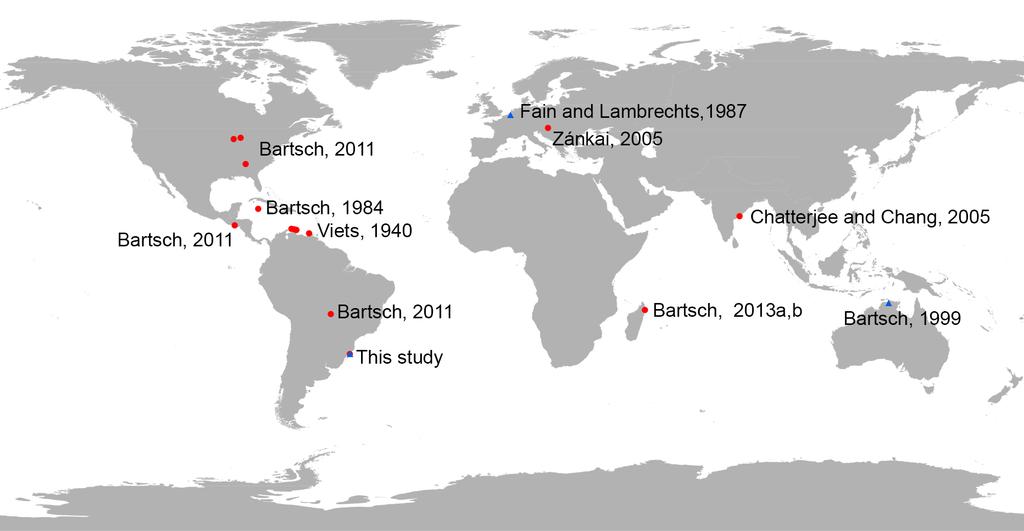 Figure 1. World map displaying records of Limnohalacarus mamillatus Fain & Lambrechts, 1987 (blue triangles) and Limnohalacarus cultellatus Viets, 1940 (red circles).