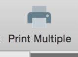 "Print Multiple" Step 7: Review labels, click on