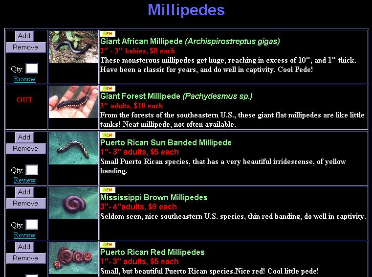 Ecological significance of millipedes Most are detritivores, and they are often very abundant.