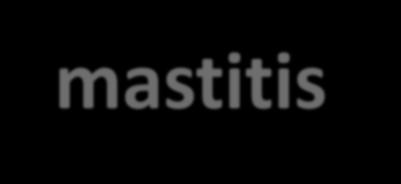 Treatment clinical mastitis Causes of clinical mastitis Gram-positive bacteria Staphylococcus aureus
