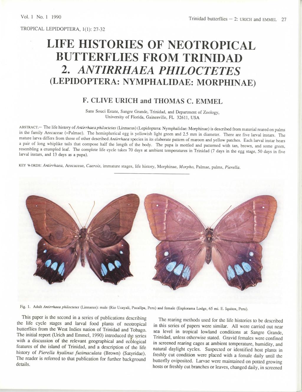 Vol. 1 No. 1 1990 Trinidad butterflies 2: URICH and EMMEL 27 TROPICAL LEPIDOPTERA, 1(1): 27-32 LIFE HISTORIES OF NEOTROPICAL BUTTERFLIES FROM TRINIDAD 2.