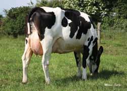 476kgs Milk olids Milk & Fertility Irish aughters have averaged 6211kgs @4.14%F & 3.