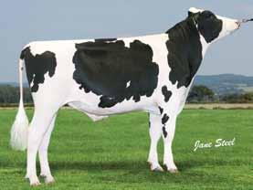 65 trong Udder epth +1.67 20cm Abve enmire ManOman Maria VG87: am Teat Placement +1.32 Close Teat Length +0.09 Long Feet & Legs +1.46 Overall Udder +1.87 Overall Type +2.