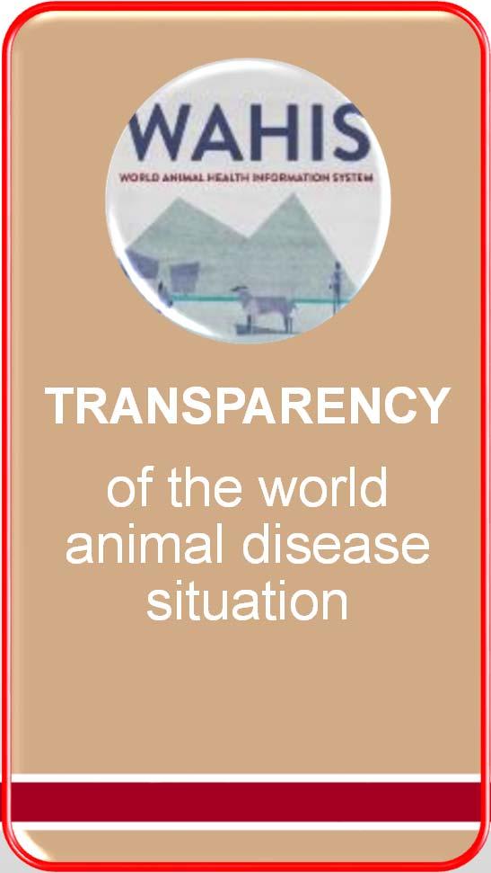 The four pillars of the OIE Improving animal health, veterinary public health and welfare worldwide STANDARDS & GUIDELINES TRANSPARENCY of the world animal disease situation EXPERTISE Collection and
