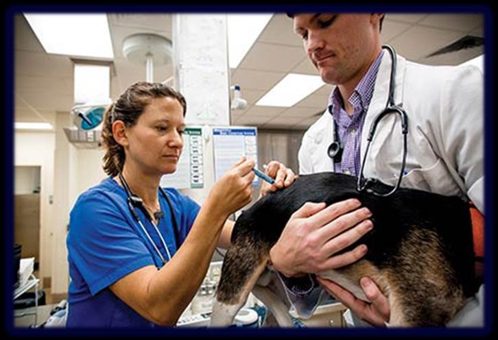 Vaccination FAQ Q: What are vaccines? A: Vaccines are health products that trigger protective immune responses in pets and prepare them to fight future infections from disease-causing agents.