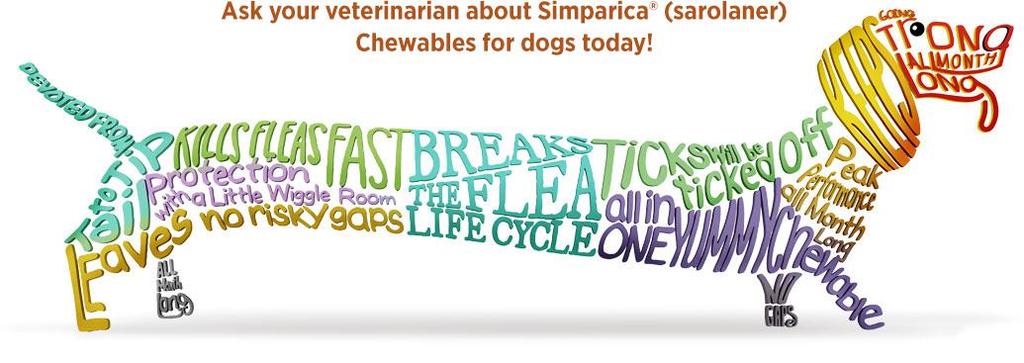 effectiveness at the end of the month. Simparica provides rapid relief for pets with existing flea infestations.