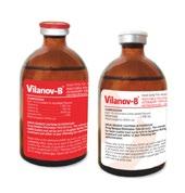 Analgesic & Anti-Rheumatoid VILANOV - B Each 10 ml contains (red labeled flacons): 1 000 mg Vitamin B 1, 100 mg Vitamin B 6, 4 000 µg Vitamin B 12, 1.5 % Lidocaine HCl.