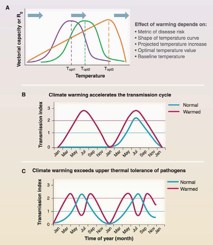 Theoretical underpinnings and categorization of disease responses to