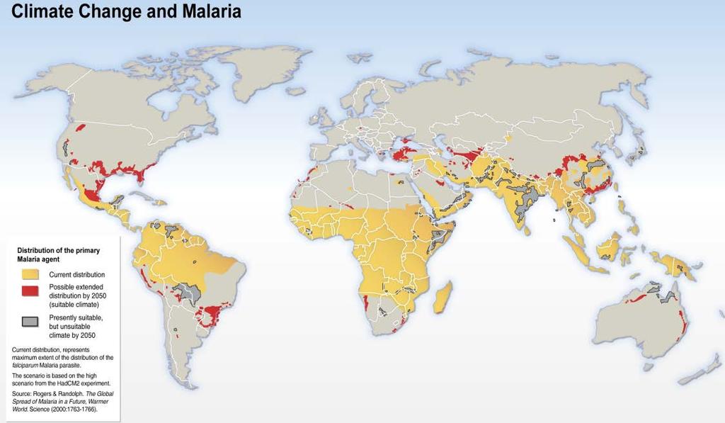 How does climate affect malaria prevalence and distribution?