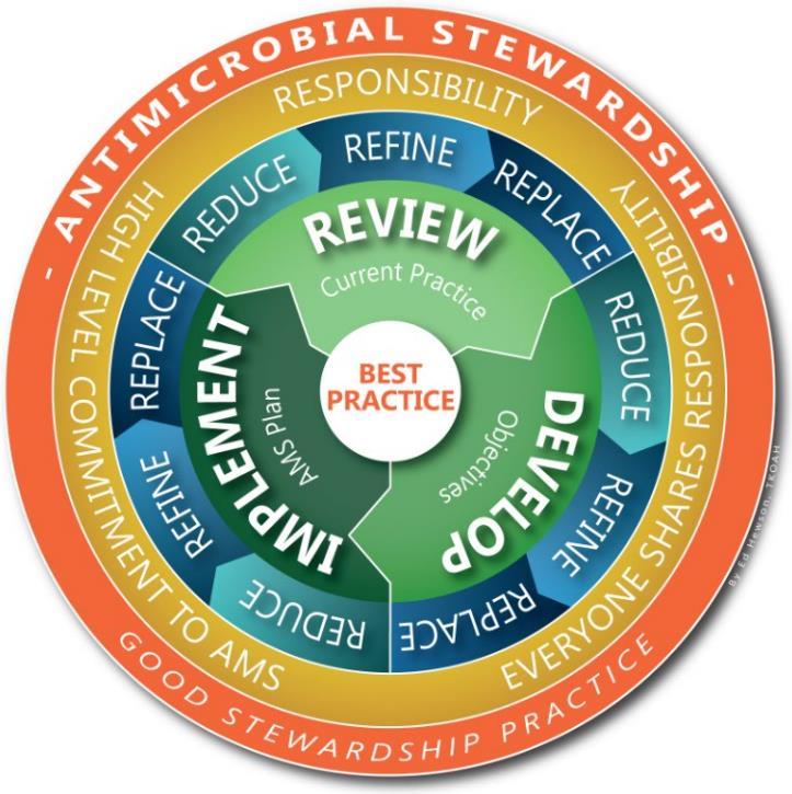ANTIMICROBIAL STEWARDSHIP AMS is about ensuring the Quality Use of antimicrobials, including antibiotics.