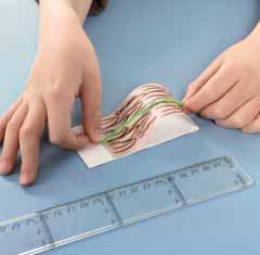 2 Measure the bottom and the curved part of the paper, using a ruler and string.