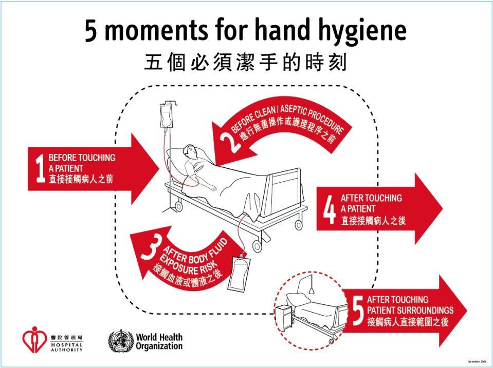 measure report hand hygiene Sax, Allegranzi,