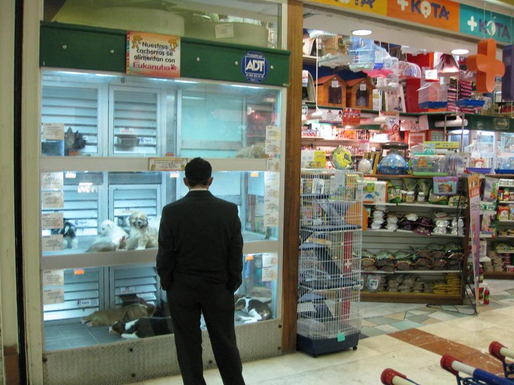 Effects of Early Environment: Pet Stores vs.