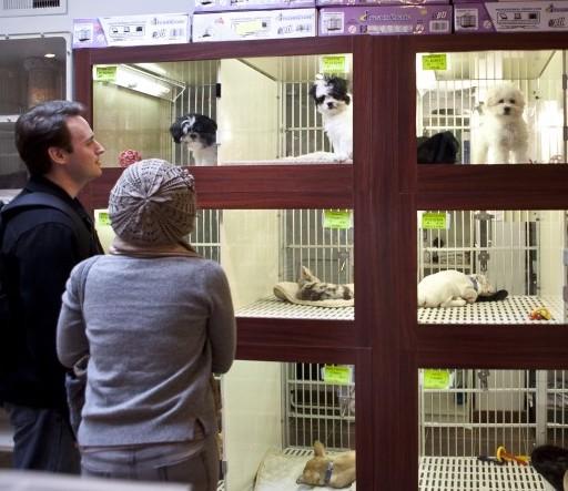 Less Experienced Owners Are More Likely to Acquire Puppies from Pet Stores
