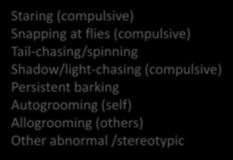 Tail-chasing/spinning Shadow/light-chasing (compulsive)
