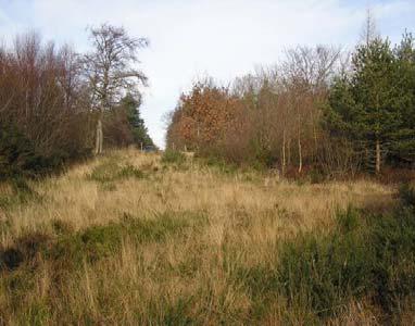 heathland - ideal