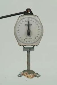 04 lb) and have a minimum capacity of 5 kg (11 lb). Electronic scale (left) and mechanical dial scale (right) for taking individual bird weights. 2. A pen or pencil. 3. Weight recording charts. 4.
