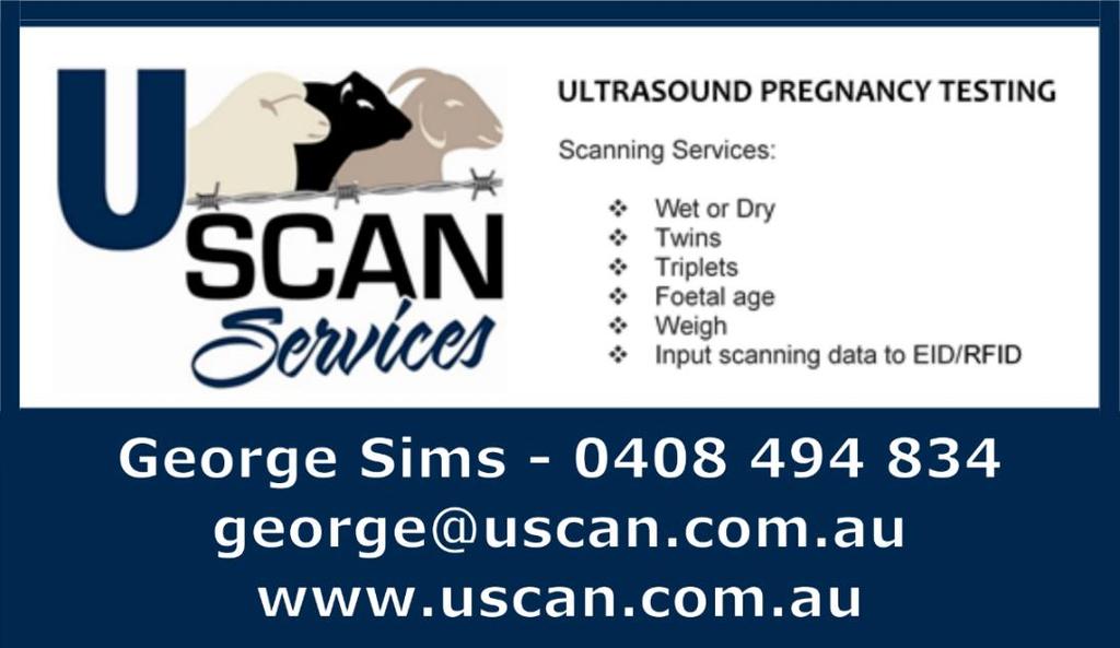 NOTES: ULTRASOUND PREGNANCY TESTING Scanning