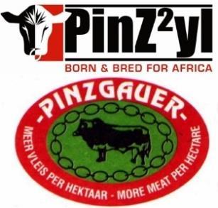 PINZGAUER & PINZ²YL GENOOTSKAP/SOCIETY Nuusbrief / Newsletter Volume 19 / Issue 19 Oktober / October 2016 B2B Pinzgauer & PinZ²yl Stud Mike and Tshelo Matsimela decided to expand their Jersey dairy