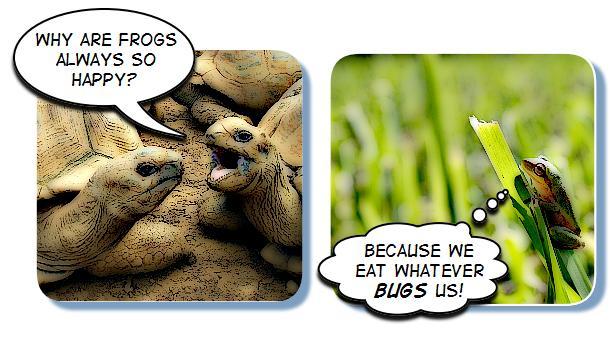 Chapter 11: Page 97 The baby turtle grows inside this egg until it hatches. The hatched turtle looks very much like its parents! This is an example of an inherited trait.