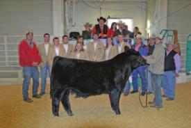 Dated Material First Class Sanders Ranch supports our Juniors for the Future of the Simmental breed!