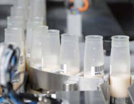 Milchprüfring Bayern e.v. How are Tests done today? At the dairy farm level normally a cost-efficient microbiological residue test (BRT= Brilliant Black Reduction Test) is performed.