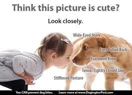 Dog Handling Body Language Dogs communicate in a multitude of ways, they use facial expression, eyes, ears, tail positions and even their whole bodies.