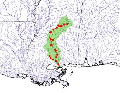 Emydidae Graptemys oculifera 033.3 Figure 7. Distribution of Graptemys oculifera in southeastern USA (Mississippi and Louisiana).