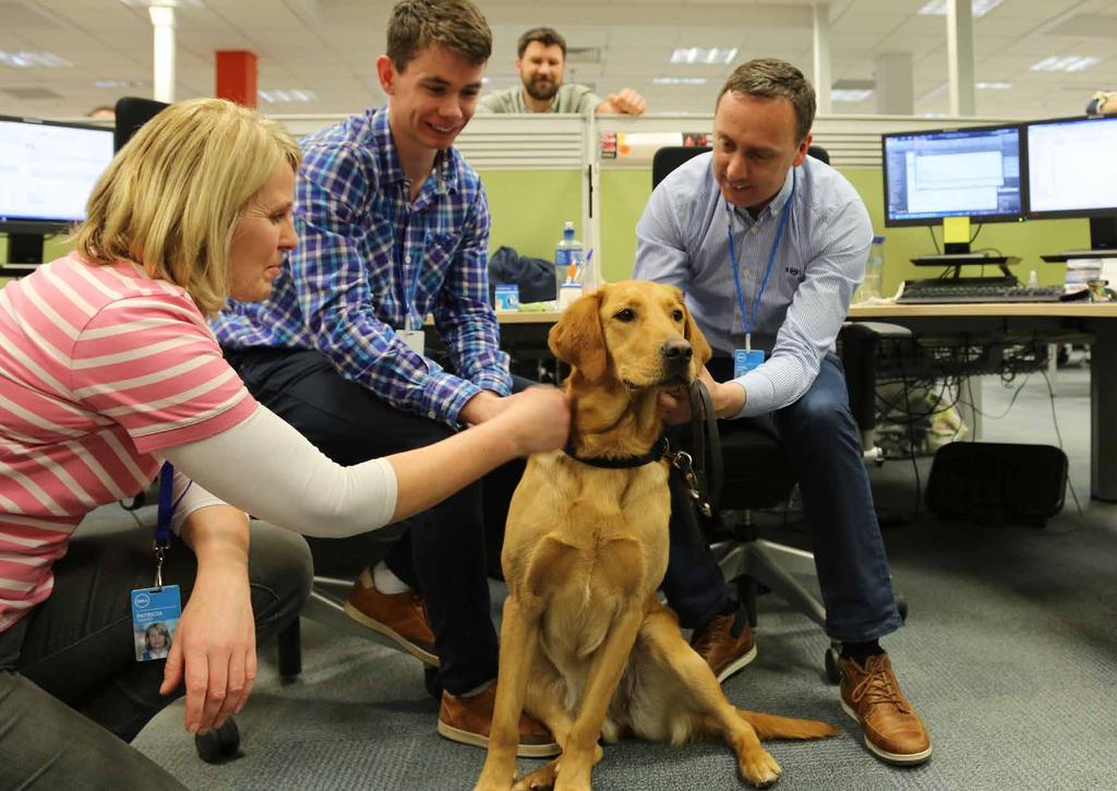 It grew with... 12 Irish Guide Dogs - It Started With.