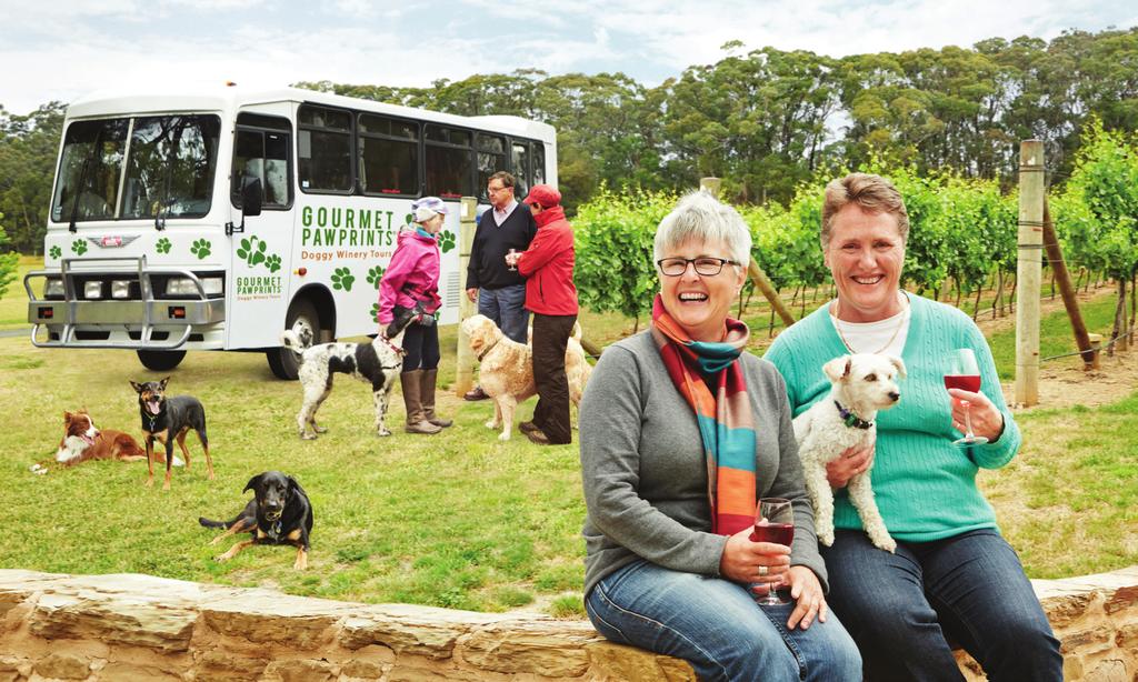 Visit the great wine regions of Victoria Mornington Peninsula, the Yarra Valley or the Dandenong Ranges. Each tour is handcrafted by a talented team who will look after you from beginning to end.