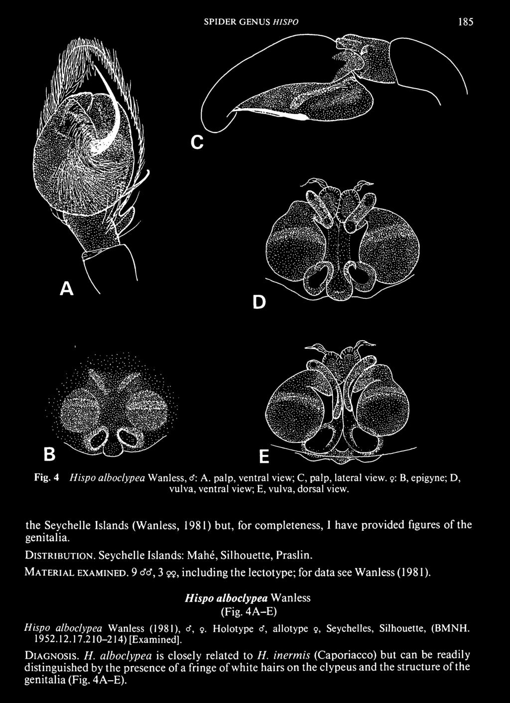 Hispo alboclypea Wanless (Fig. 4A-E) Hispo alboclypea Wanless (1981), cf, 9. Holotype cf, allotype 9, Seychelles, Silhouette, (BMNH.
