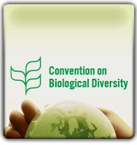 Convention on Biological Diversity 2010 Biodiversity Target (adopted 2001): biodiversity decline should be halted with the aim of reaching this objective