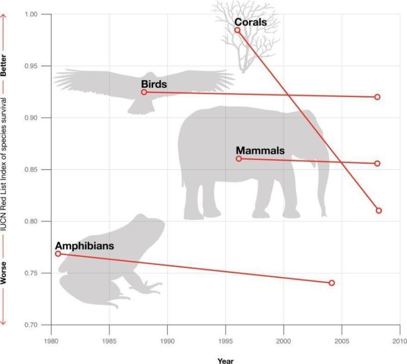 Red List Index Shows trends over time in projected extinction risk of sets of species Can be calculated for any set of species that have been assessed at least twice Based on proportion of species in
