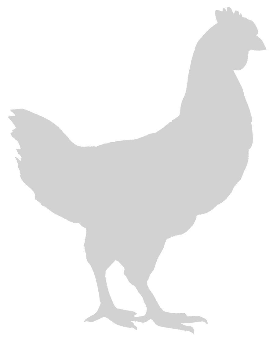 4-H Poultry