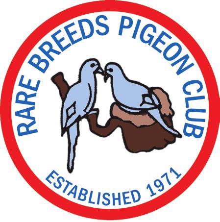 SUMMER 2013 President s Message An Apology Master Breeder Corner Bulletin The world of domestic pigeon rarities President s Message James Fathbruckner Our Points System and Class Awards A Tribute to