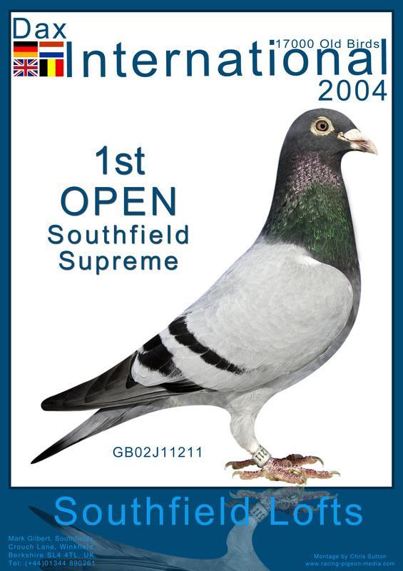 International race in 2004 from Dax, against a field of more than 17,000 pigeons.