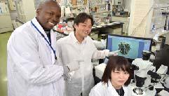 TBD RESEARCH AT NRCPD (JAPAN) Directors of