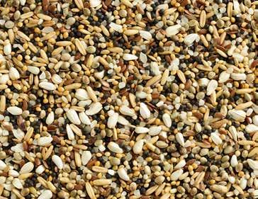 Natural Special Small Seed A small seed mix, well known as trapping or sneaky mixture Rich in carbohydrates Ideal for training purposes To be given in moderation 20 KG Art.