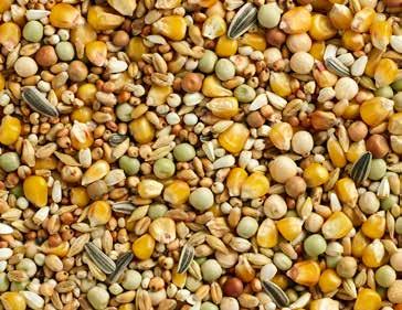 Sunflowerseed striped 1% Analytical constituants Crude