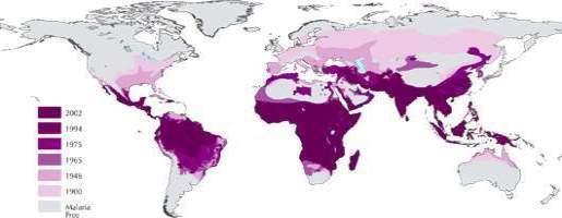 Malaria- Mosquitoes Risk varies geographically Different