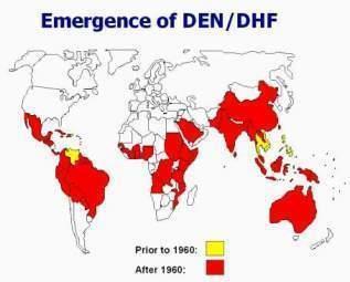 Dengue In the last 50 years, incidence of DF/DHF has increased 30-fold Endemicity has increased from 9 countries to ~128