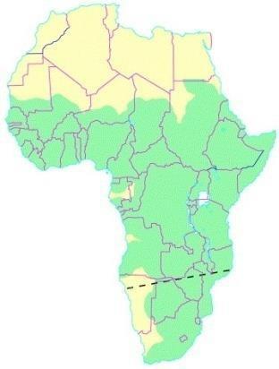 Risk Factors for African Tick-Bite Fever in Rural Central Africa. Am. J.