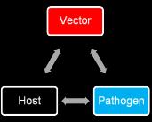 Pathogen Components of Transmission Where does it normally occur? Animal host (Enzootic)?