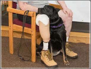 Canines Helping People with PTSD Brenda Cirricione August 16, 2017 President Journey Together Service Dog Inc.