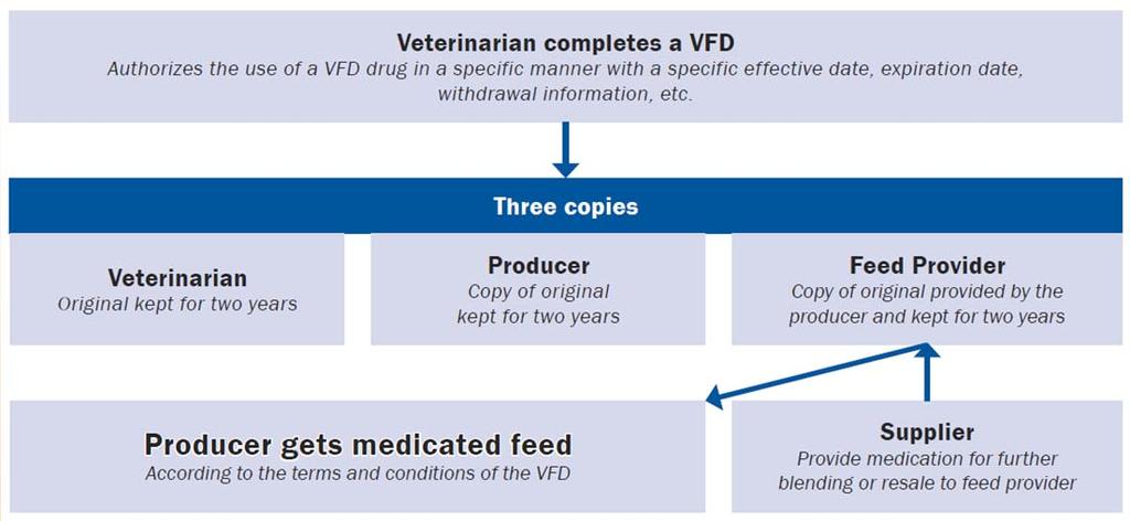 The VFD Process Let s