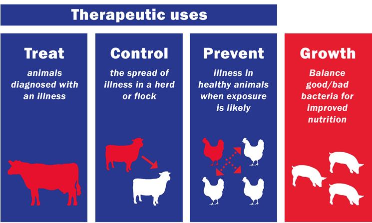 Four Uses of Antibiotics Growth (or efficiency) will no longer be an option for medically important antibiotics What is a veterinarian-client-patient relationship (VCPR)? CFR 530.